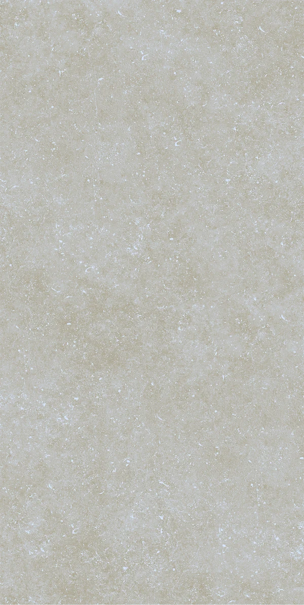 Belgium Stone Bone 60×120