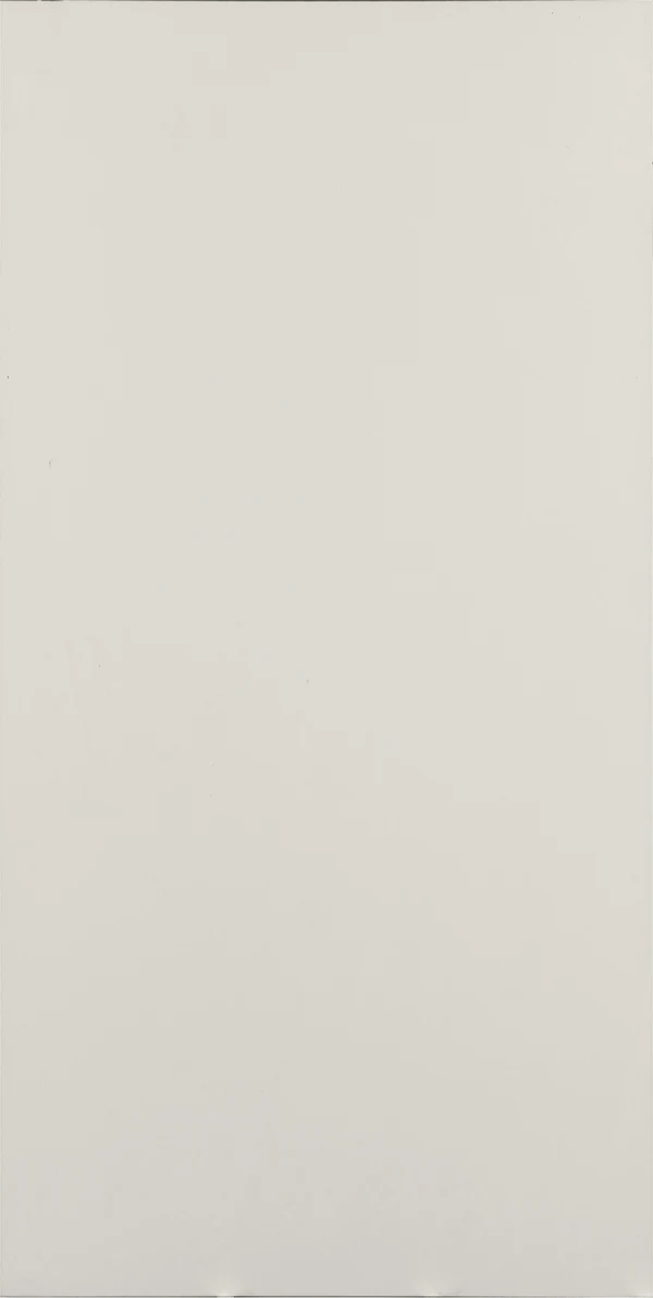 Sahra Bone 60×120