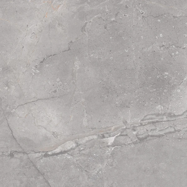 Serenity Gümüş/Silver 60×60