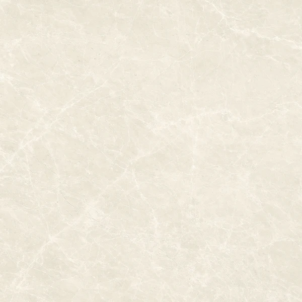 Spider Beyaz/White 60×60